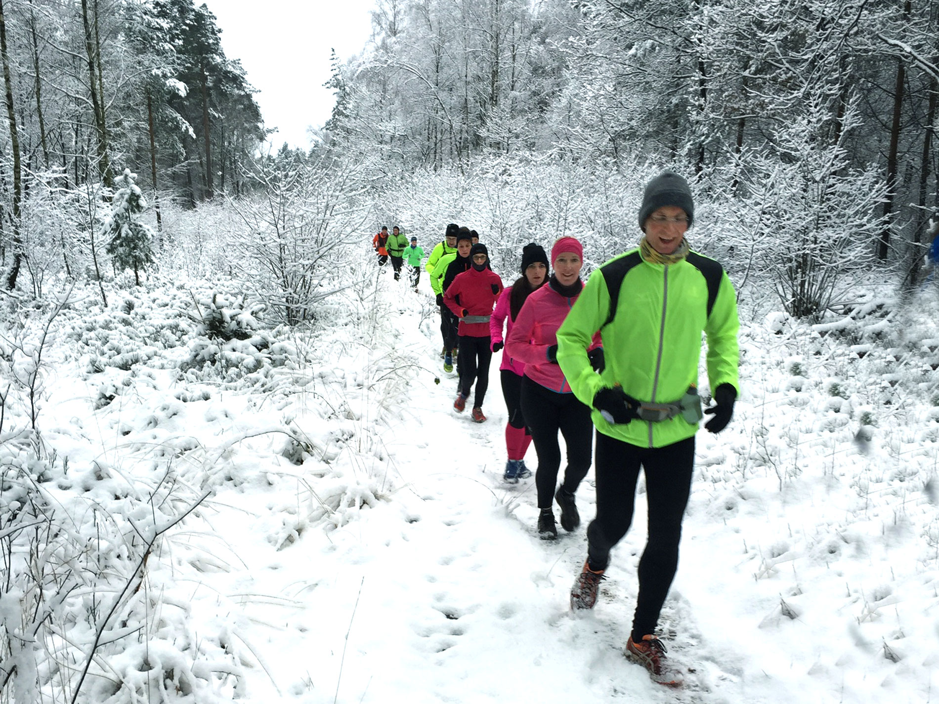 Die regelmäßige Teuto Run & Fun Laufgruppe im Teutoburger Wals